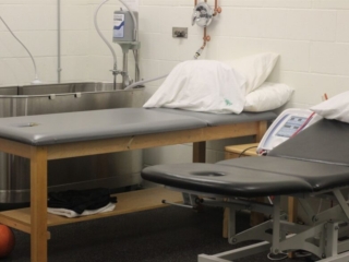 orig photo379290 5126424